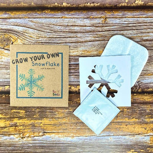 Eco Friendly Ice Queen Frozen Princess Party Bags - Grow Your Own Snowflake