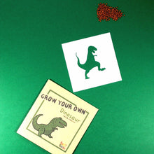 Load image into Gallery viewer, Eco friendly dinosaur party bag filler with seeds and stencil
