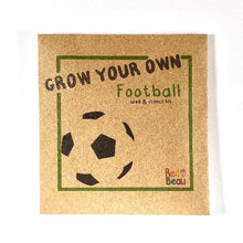 Load image into Gallery viewer, Eco friendly football kids party bag filler with cress seeds and football stencil