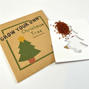 Christmas tree seed pack to grow a christmas tree