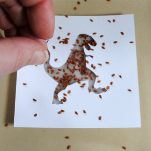 Dinosaur stencil and cress seeds